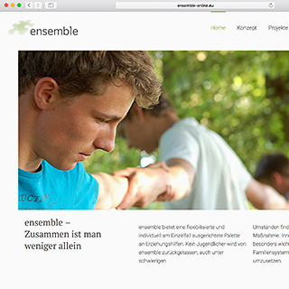 ensemble Jugendhilfe website